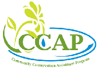 CCAP logo